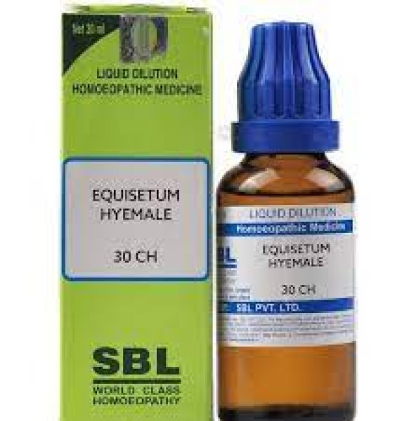 Equisetum Hyemale